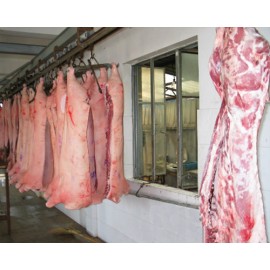 无公害猪肉