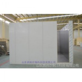 供应组合式冷库保鲜库速冻库奥纳尔专业生产 供应冷库门聚氨酯电动平移门保温门奥纳尔供货商 供应冷库门聚氨酯电动