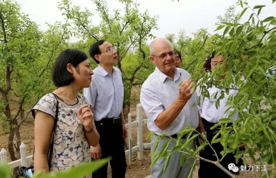 QQ截图20170517084221