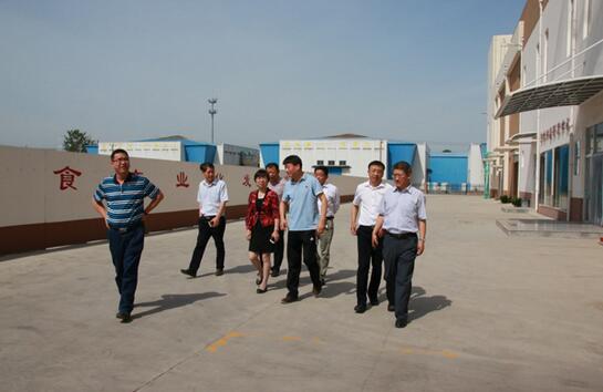 QQ截图20170526083132