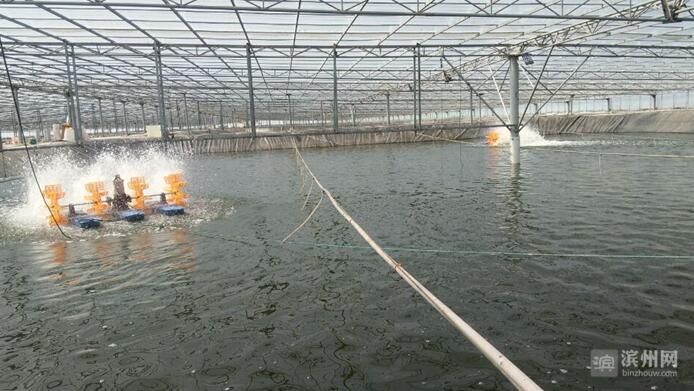 QQ截图20170526095757