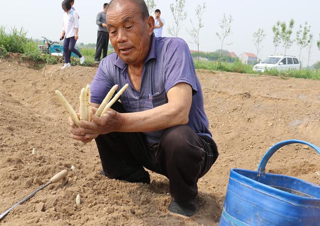 QQ截图20170527101650