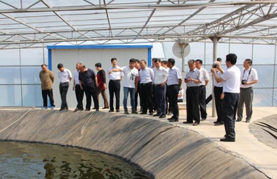 QQ截图20170531083614