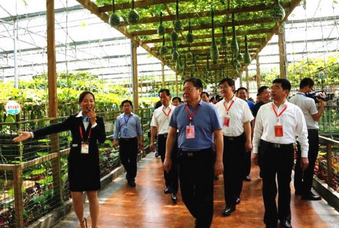 QQ截图20170531093442