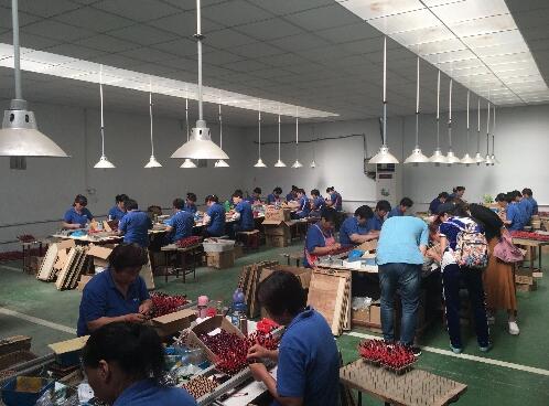 QQ截图20170605095650