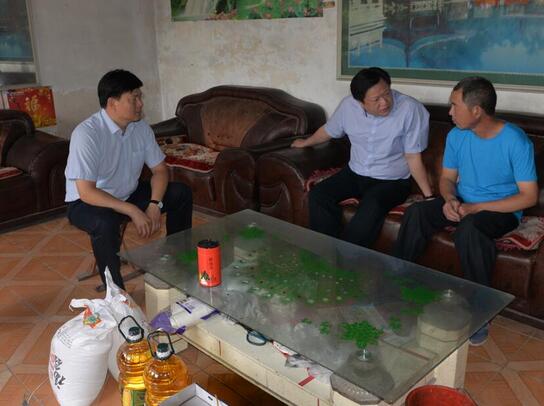 QQ截图20170606082421