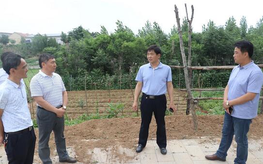 QQ截图20170614084703