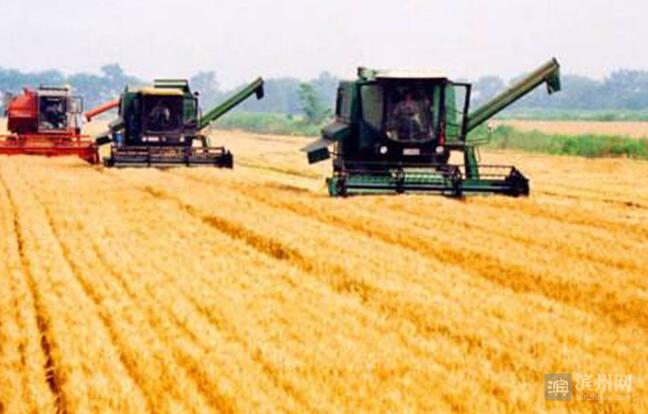 QQ截图20170616095708