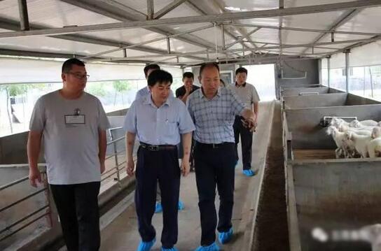 QQ截图20170621080741