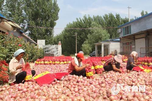 QQ截图20170623105559