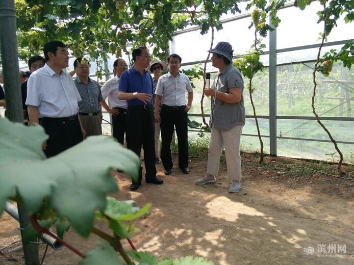 QQ截图20170713105558