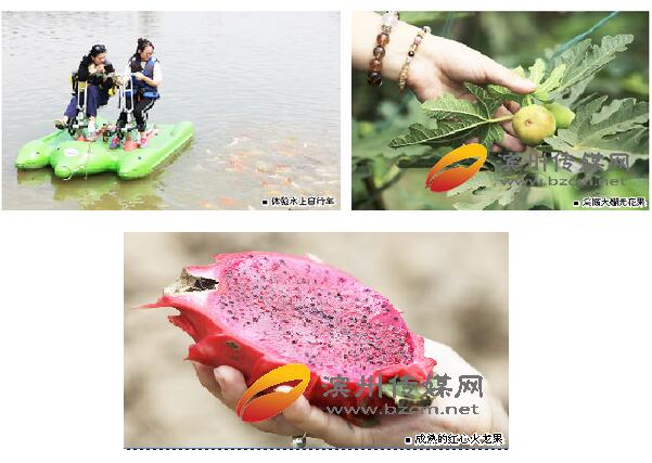 QQ截图20171011110439