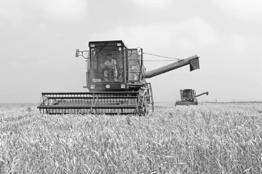 1122114066_15132964406211n