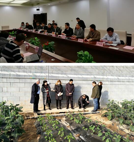 QQ截图20180125084857