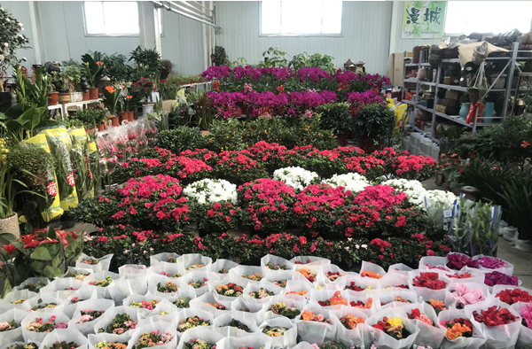 QQ截图20190126114627