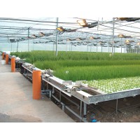 RFS深液层叶菜种植系统